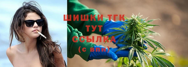 соль ск Алзамай