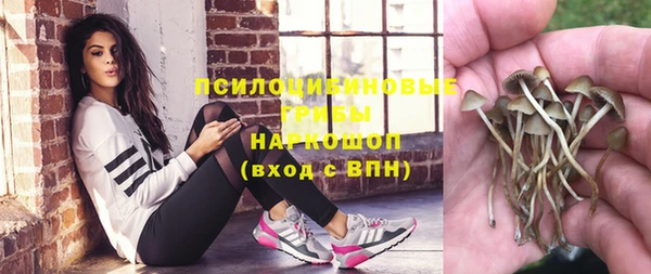 стафф Абинск