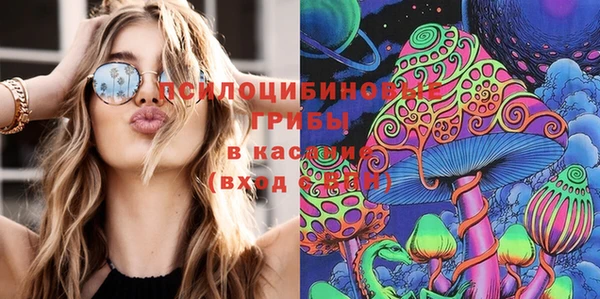 стафф Абинск