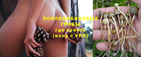 круглые Алексин