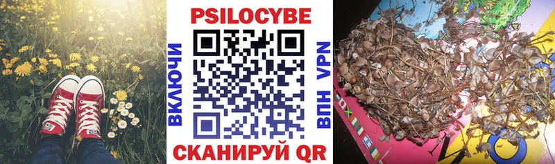 Псилоцибиновые грибы Magic Shrooms  Братск 