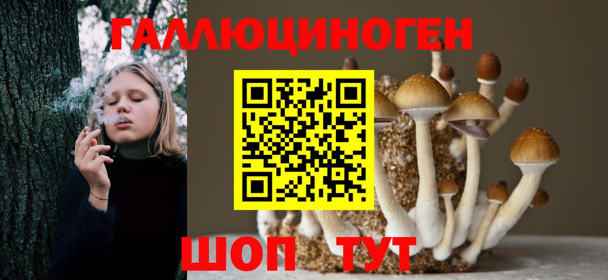 Псилоцибиновые грибы ЛСД  наркотики  Братск  Псилоцибиновые грибы GOLDEN TEACHER  Вход с VPN 